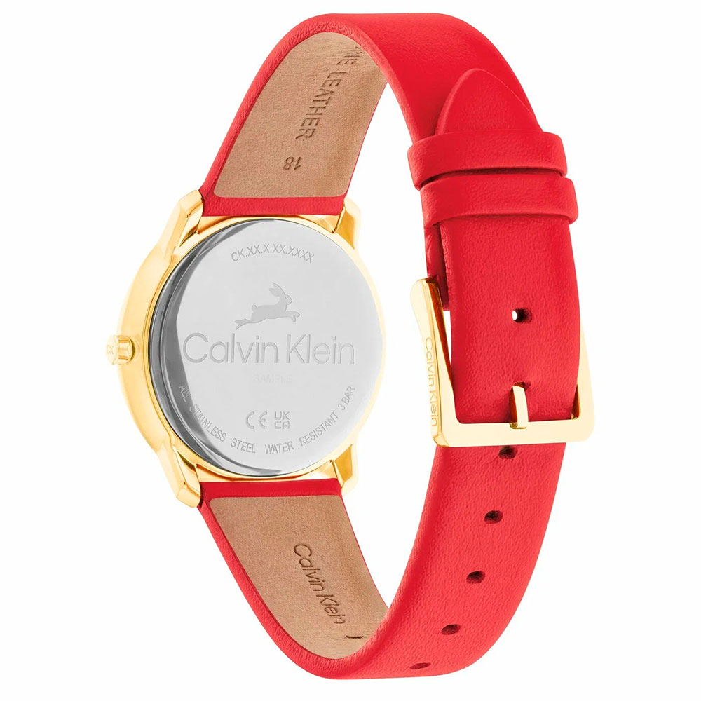 calvin klein 25200219